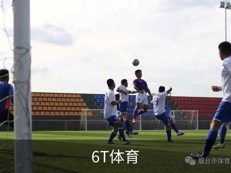 了解6T体育